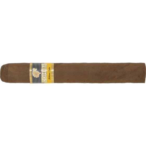 高希霸世纪6 [稀缺-须预定]