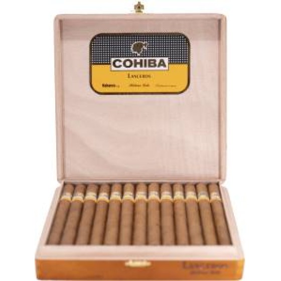 长矛（拉古托）